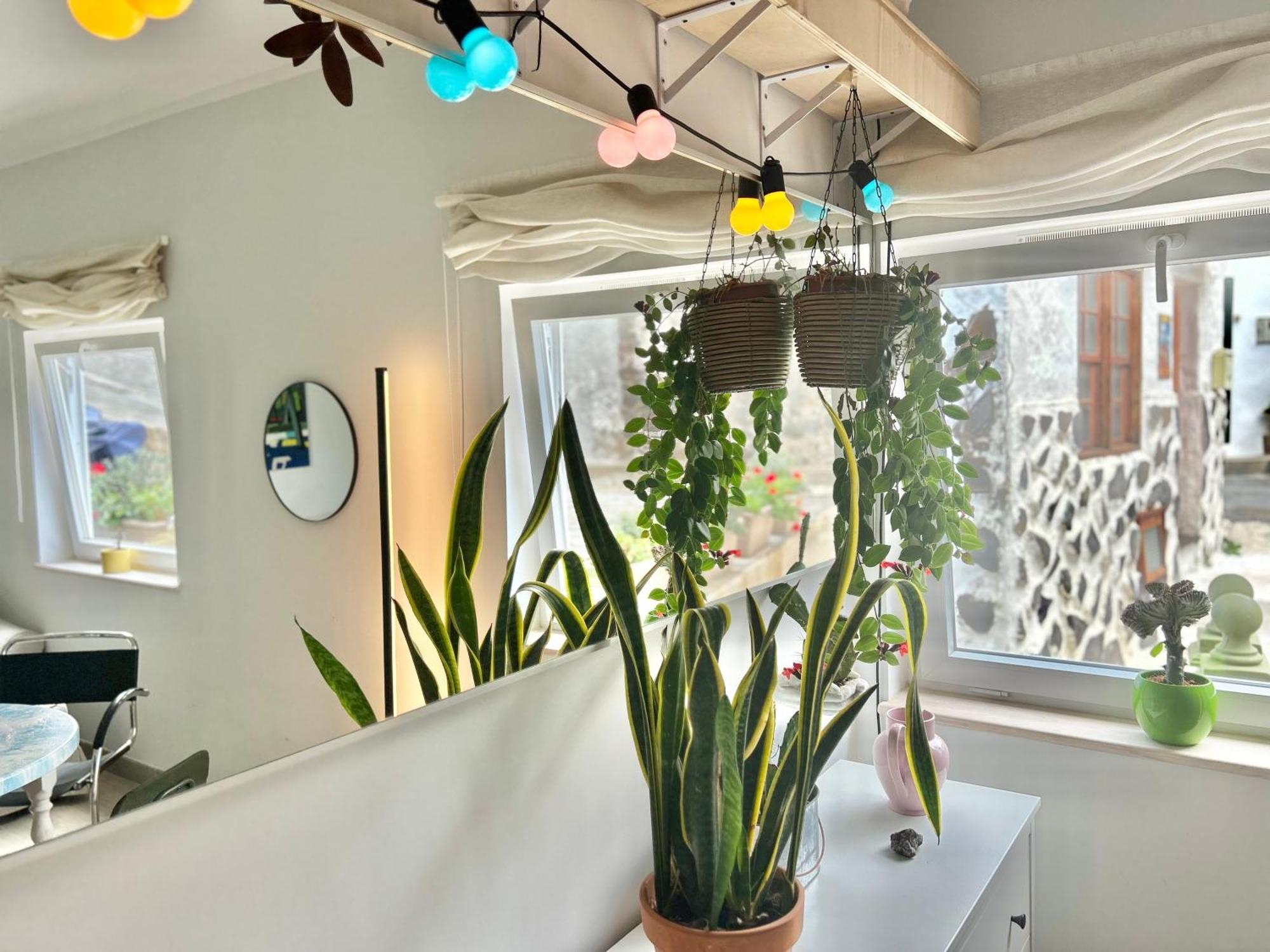 Perro Y Osito Homestay Garachico (Tenerife)