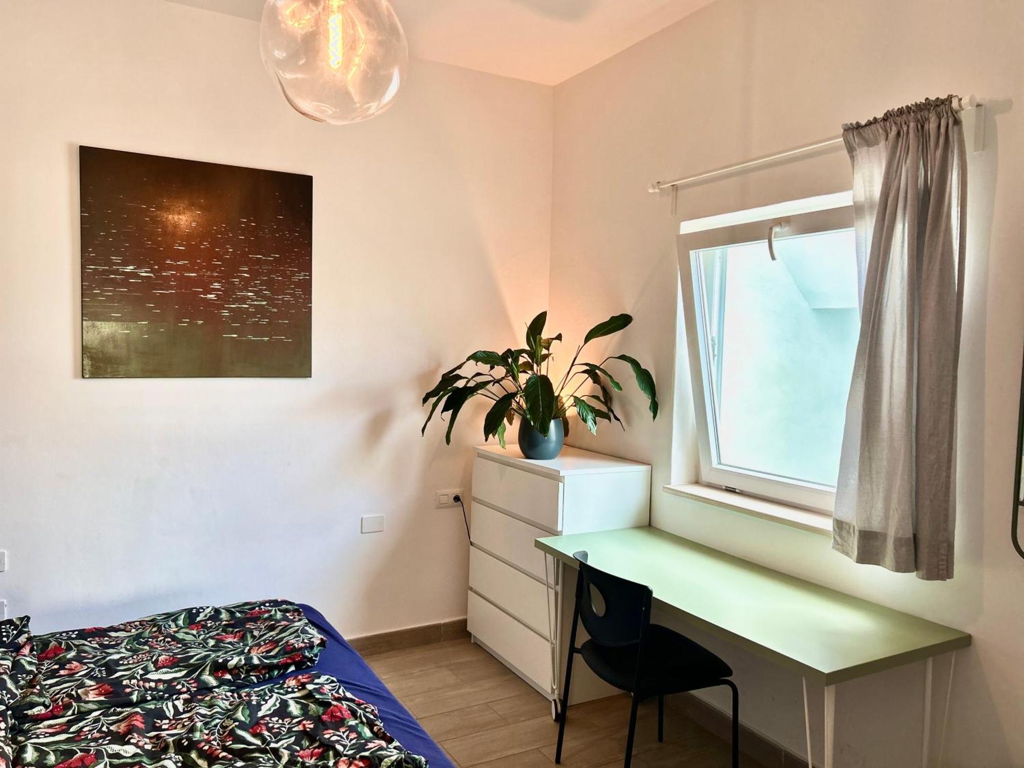 Perro Y Osito Homestay Garachico (Tenerife)