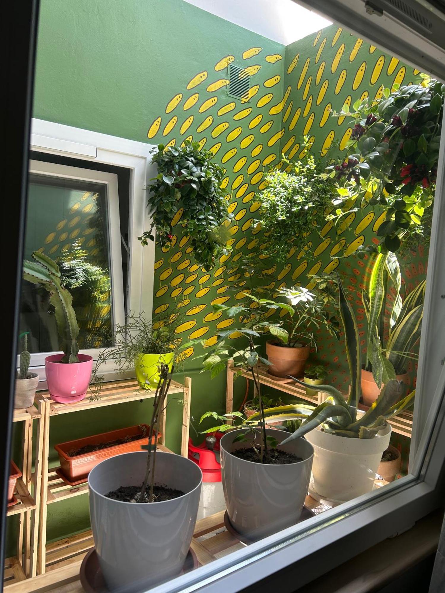 Homestay Perro Y Osito Garachico (Tenerife)