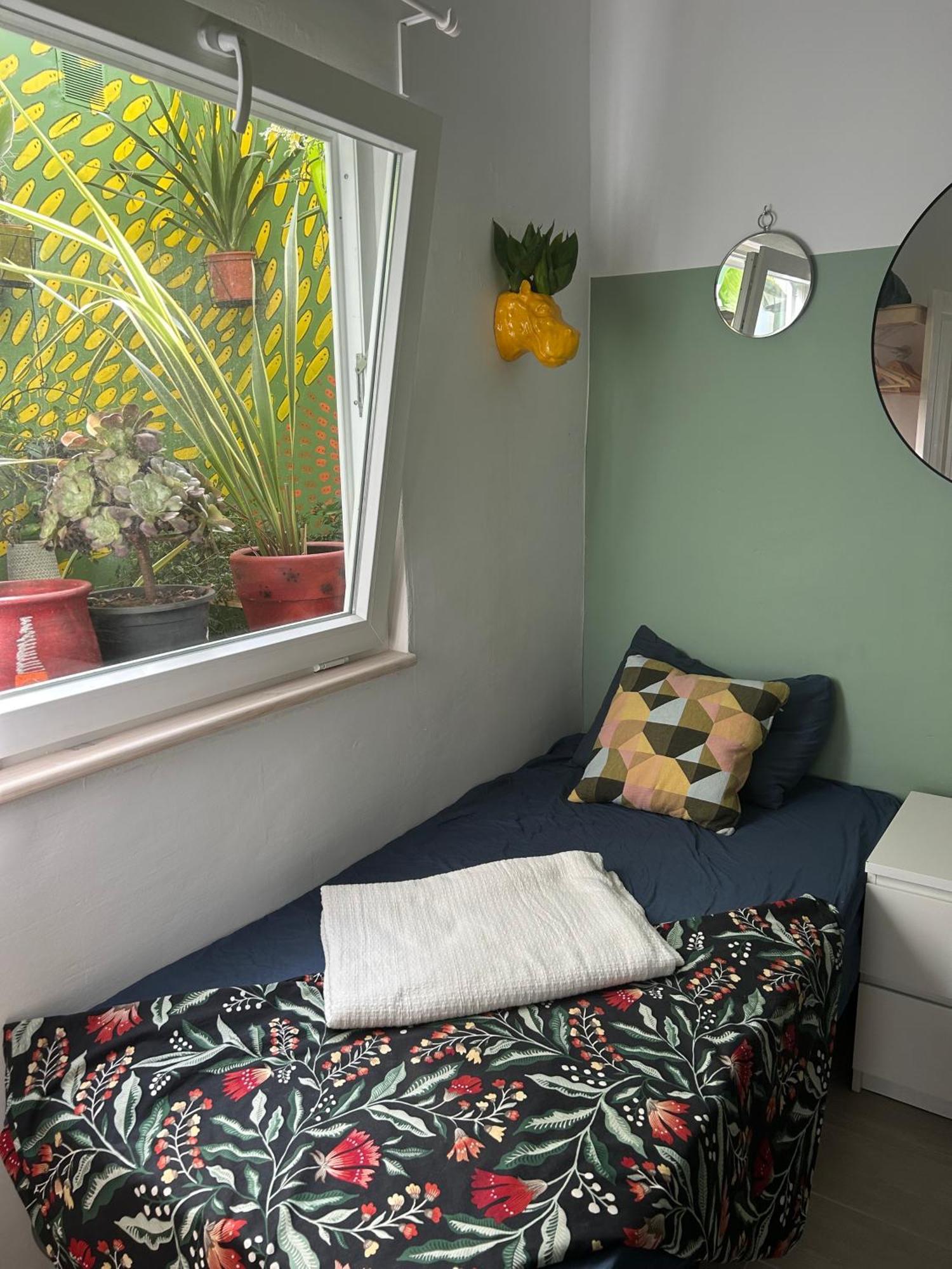 Homestay Perro Y Osito