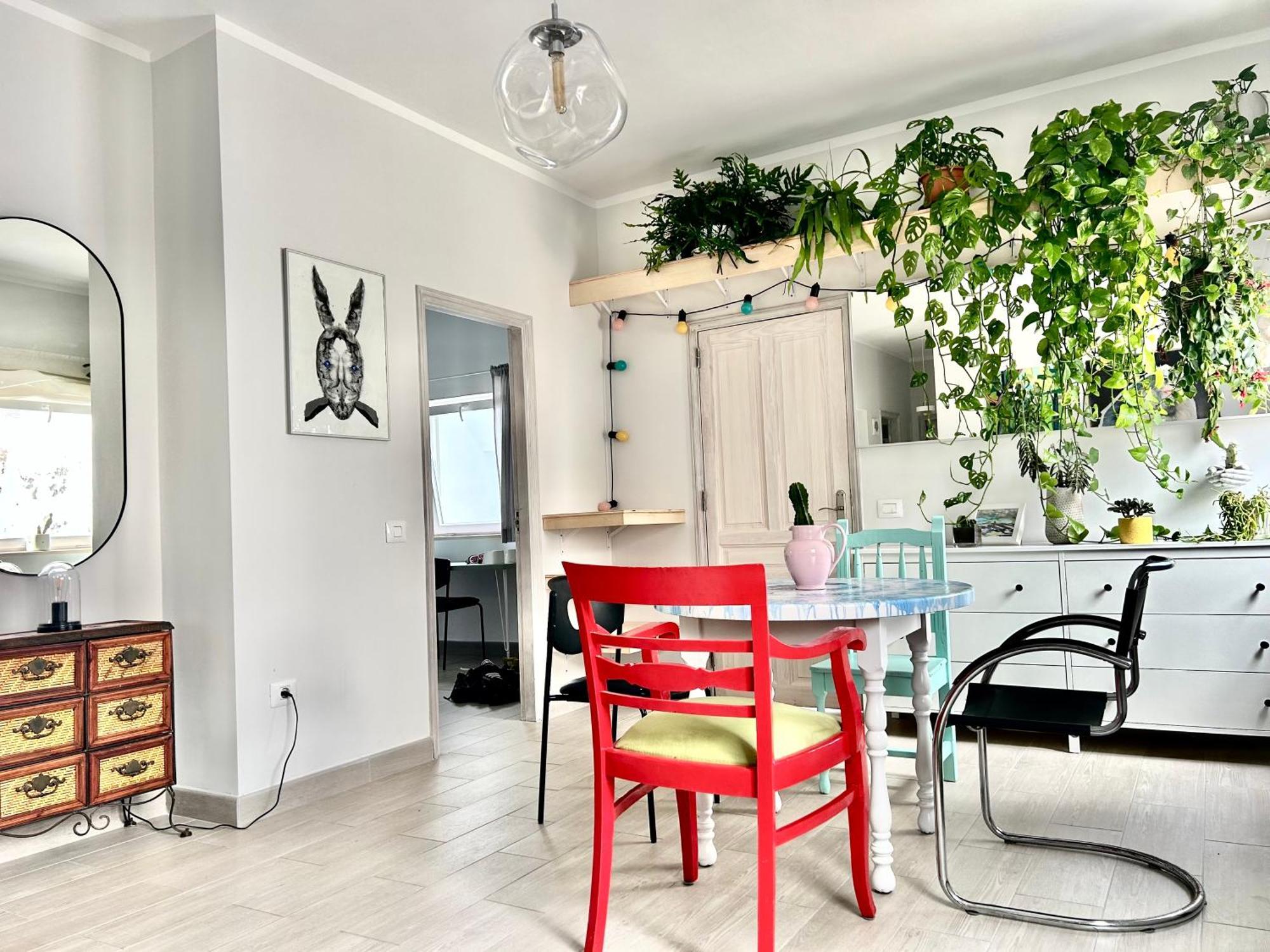 Perro Y Osito Homestay