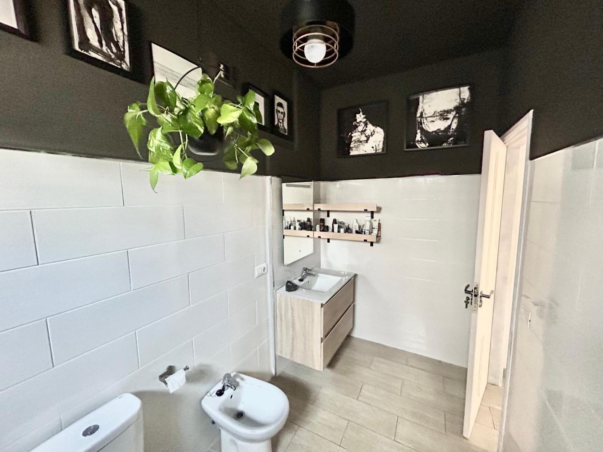 Homestay Perro Y Osito Garachico (Tenerife)