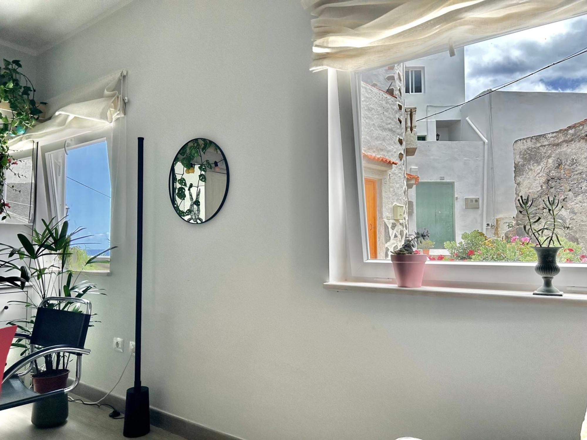 Perro Y Osito Accommodatie bij particulieren Garachico (Tenerife)